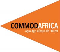 CommodArique Logo