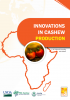 Innovations in Cashew Production in Africa